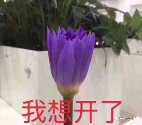 自闭表情包蔚来