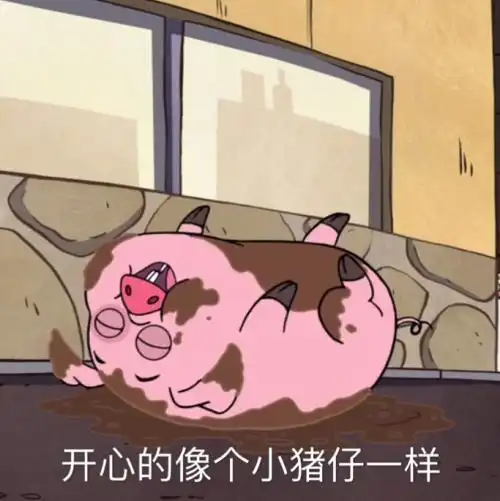  做一名精致的猪精女孩,要从表情包开始盘点四种猪猪表情包哔哩哔哩
