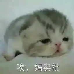抱头 表情包qq表情包
