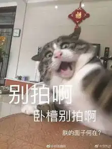 那我不要了表情包养猫