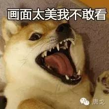  肥唐说母猴爱上男博士,四川少年偷渡到迪拜当乞