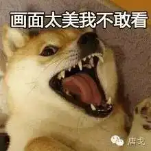 那是表情包张鹏