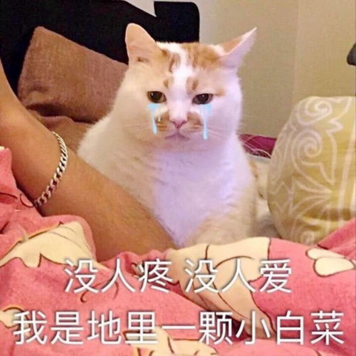  每日一笑小时候我去偷摘人家的大葱,被我爸妈知道后毒打了一顿