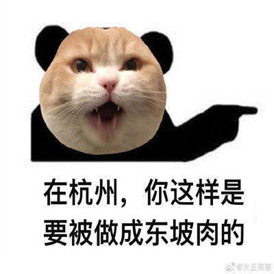  小猫咪地方特色搞笑的表情包跋山涉水也不会辜负你