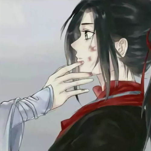  魔道祖师动漫头像魏无羡蓝忘机