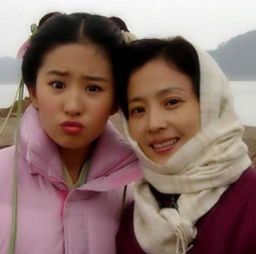 张馨予妈妈,李小璐妈妈,刘亦菲妈妈,明星妈妈颜值谁更高