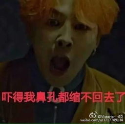  权志龙表情