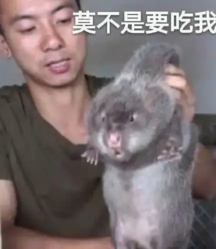  华农兄弟你真漂亮警告谁能想到一次扶贫直播竟然能刷爆网络