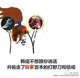  王者荣耀表情包韩信