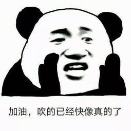  酒店人专属表情包每日更新,聊天不尴尬