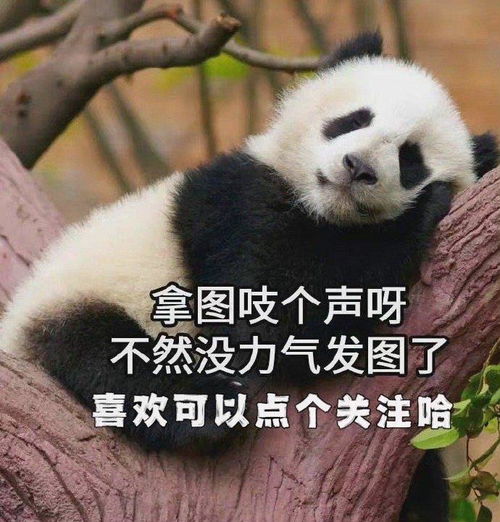  该换新ipad电脑壁纸啦