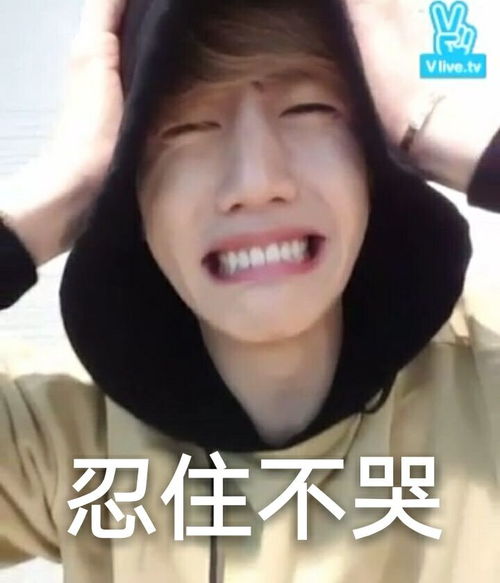  got7表情包mark段宜恩