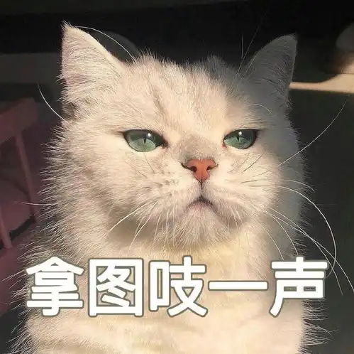  丰富一下你的表情包7.2