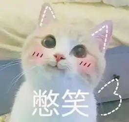  表情包小萌猫