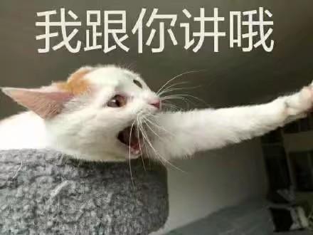  申请退货男友游戏打的太菜,连残血都抓不死还闪现撞墙