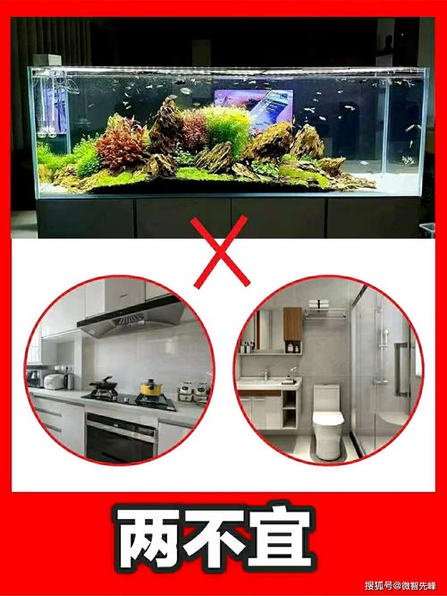  鱼缸遇上新居,风水上有什么讲究
