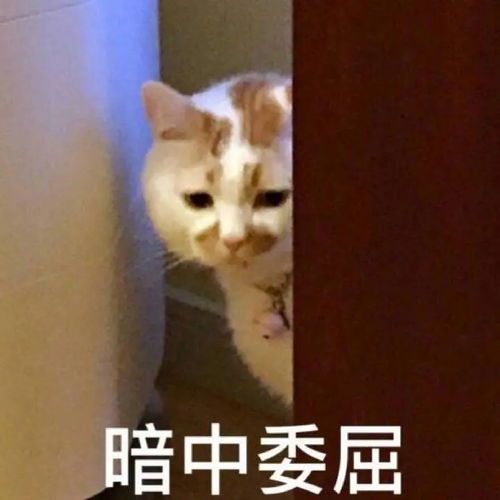  从小到大的闺蜜看到我穿汉服,说我像青楼出来的,...
