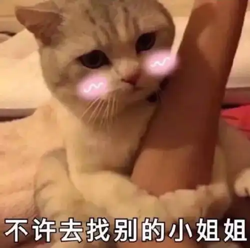  可爱沙雕表情包成年人除了疲惫还剩下什么
