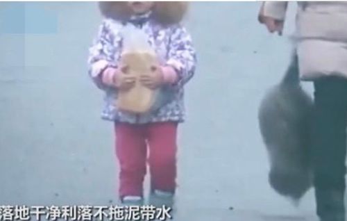  深藏不露胖猫走路突然起飞360度空翻,网友这是武林高手啊
