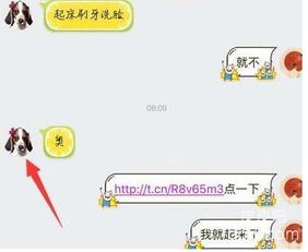  qq点开链接头像修改为狗是怎么了qq点开链接头像修改为狗怎么改回来