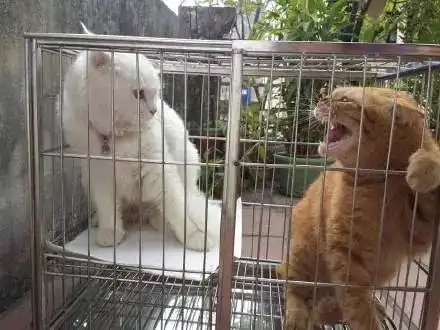  怎么回事小老弟要找事啊