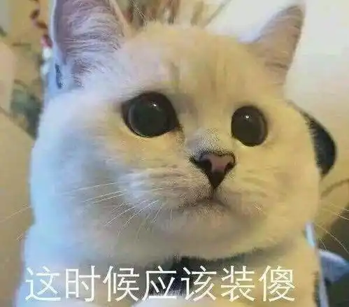  知否知否,过年不逼婚可否