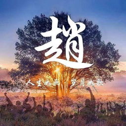 赵姓氏头像大全免费