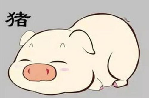  十二生肖各自出生在哪些月份,财运,事业运,贵人运最好呢