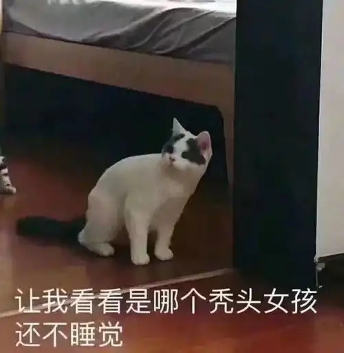  我要预定这届薅一下头发看会掉几根的冠军