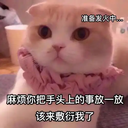  斗图表情包合集你是亚里士多德的妹妹,珍妮玛士多吗
