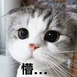  热热热到融化西安人挺住,暴雨在前方招手了
