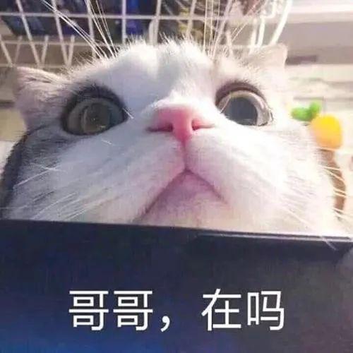  开心食堂老婆,我们分手吧