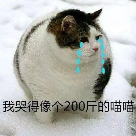  直降21,断崖式大降温东营最低温降至0,还有