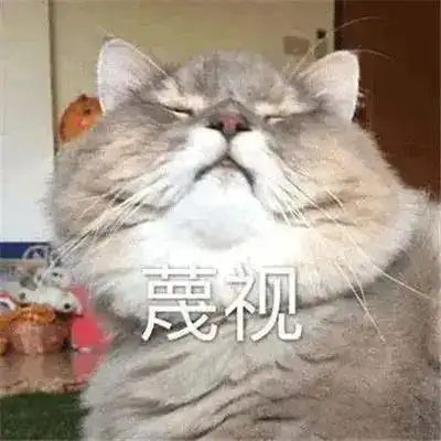  因为妈妈不让养猫,20岁大学生跳楼轻生