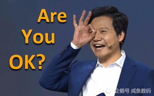 赚钱机器表情包雷军