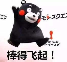  肇庆新区,正成为干事创业的大舞台