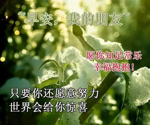  早安心语朋友圈最新句子大全微信朋友圈早安心语