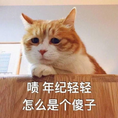  男生发猫猫狗狗的可爱表情包会是渣男吗为什么