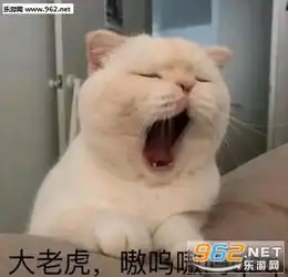  吸猫吗免费的超萌喵咪表情包绝交生气了讨厌你根本不可能哄好的小猫表情包下载乐游网游戏下载