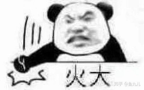  求一个熊猫人气愤捶桌子的表情包