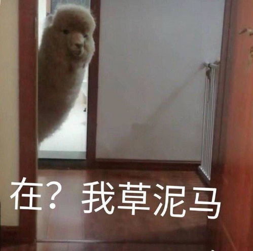 非常愤怒表情包表情包