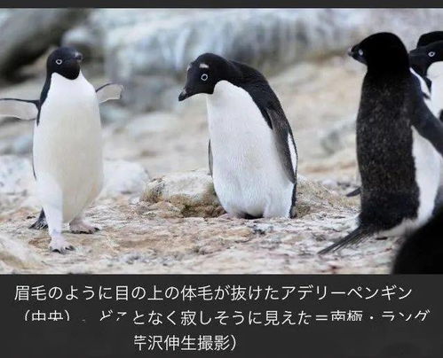  笑懵全国教师统一台词曝光,你老师肯定也说过哈哈哈哈哈哈