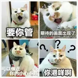  2017,让我们好好告别