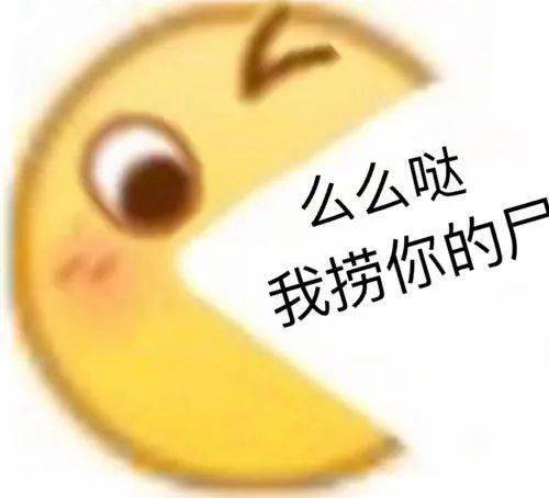  孙一宁王思聪聊天记录表情包,我命油我不油天
