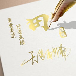  微信头像,姓氏头像,20多张羽毛亮金特效商务签名头像,有你的吗