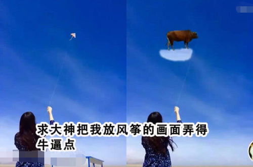  p图大神有多不正经不是千手观音就是表情包,网友珍爱生命