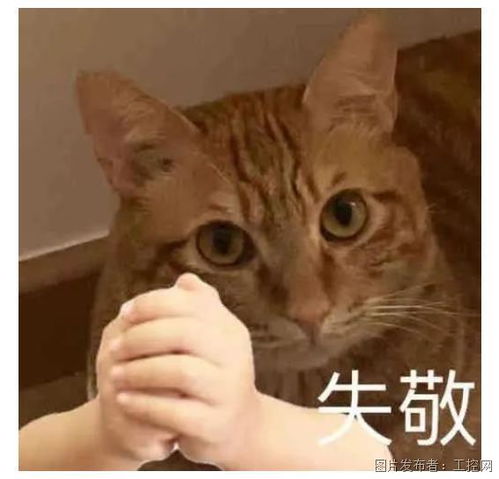  卷王第二代骁龙7高通发起的一次技术平权