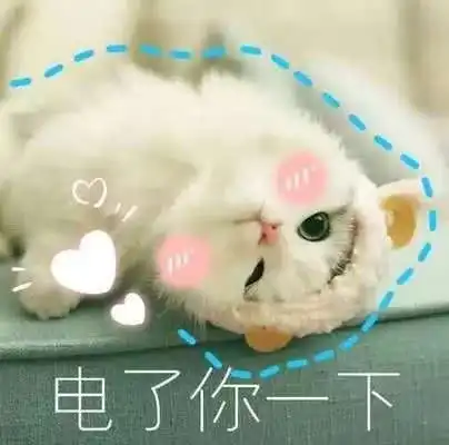撒娇拜托求人表情包