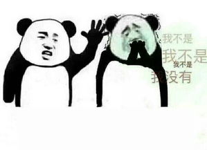 p图表情包推荐表情