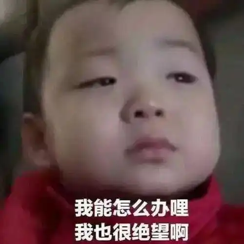 盗我图表情包宋民国